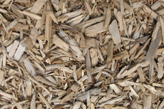 biomass boilers Shade